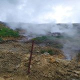 DENİZLİ-SARAYKÖY-TEKKEHAMAM JEOTERMAL SAHASINDA GÖZLENEN
SICAK SU ÇIKIŞLARINA İLİŞKİN İNCELEME RAPORU