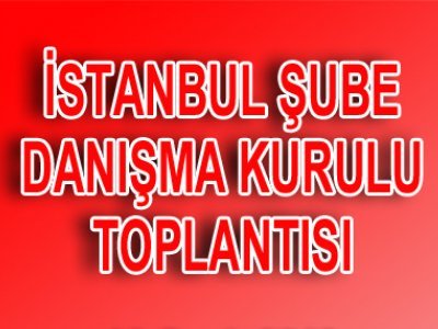 4. Danışma Kurulu toplantısı 6 Nisan 2013 Cumartesi yapılacaktır.