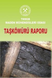 101 TAŞKÖMÜRÜ RAPORU